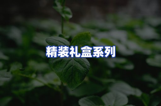 精装礼盒系列